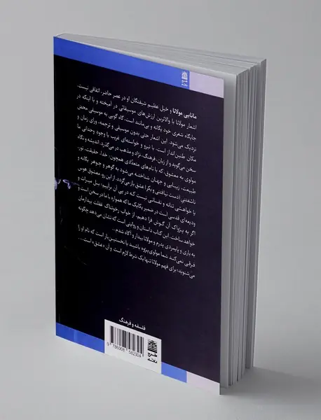 درمانگری مولانا