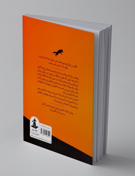 چشم ها و ناممکن ها