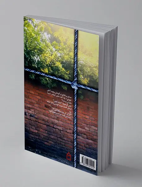 شیراز، خیابان افرا