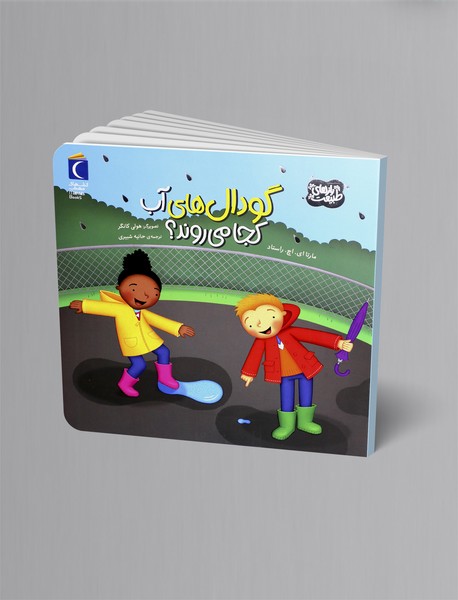 گودال های آب کجا می روند؟