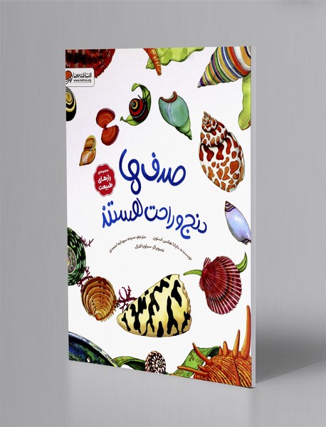 صدف ها دنج و راحت هستند