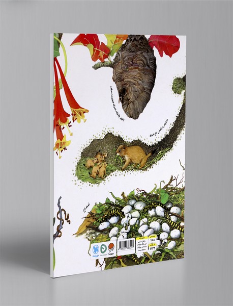 لانه ها پر سروصدا هستند