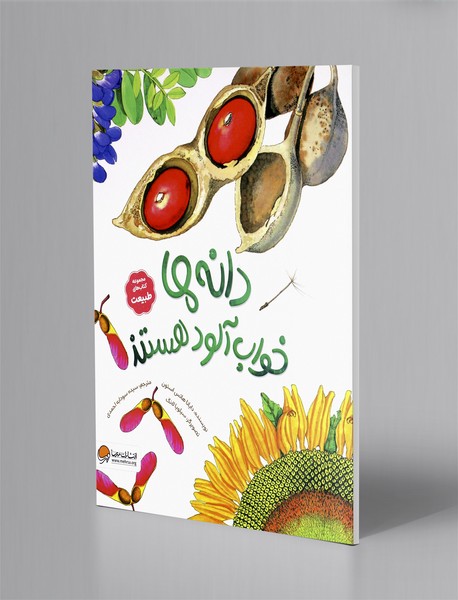 دانه ها خواب آلود هستند