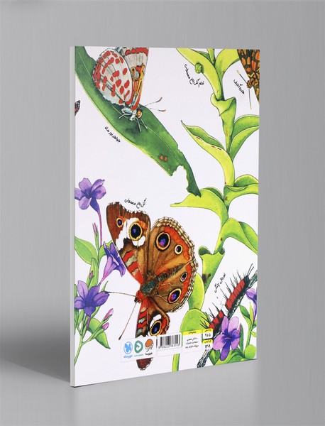 پروانه ها صبور هستند