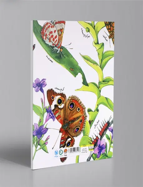 پروانه ها صبور هستند