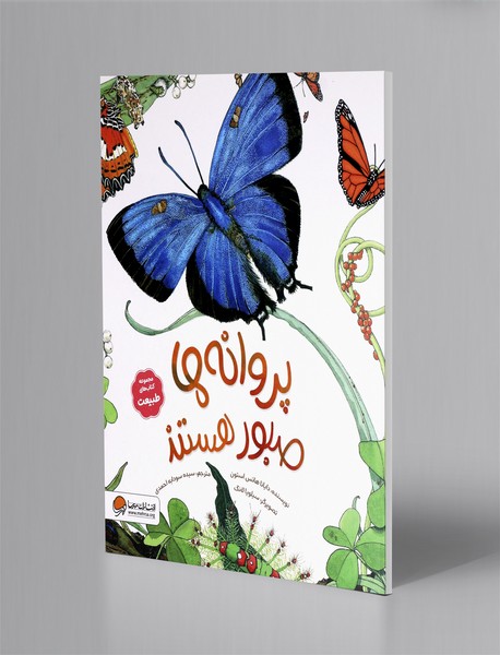 پروانه ها صبور هستند