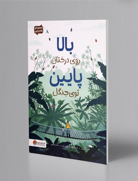 بالا روی درختان پایین توی جنگل