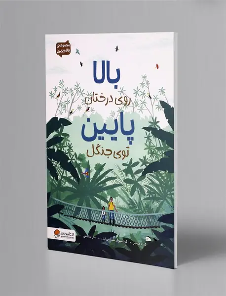 بالا روی درختان پایین توی جنگل