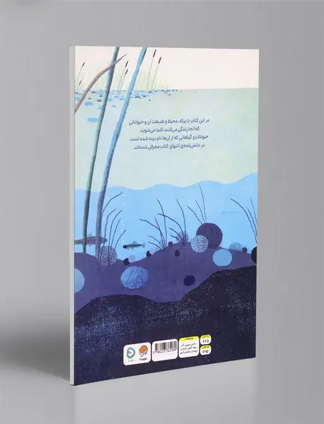 بالا روی آب پایین توی آب