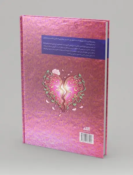 روزی روزگاری دلی شکسته