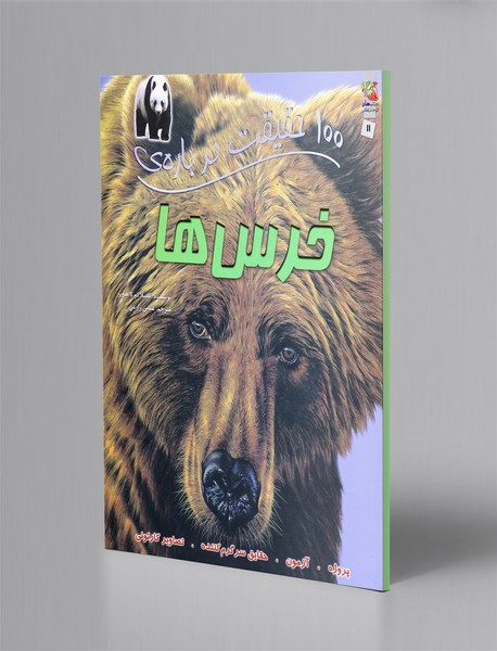 100 حقیقت درباره ی‌ 11: خرس ها