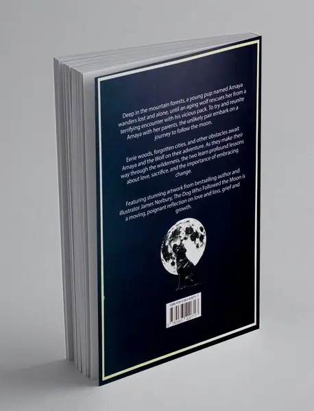 The Dog who followed the moon