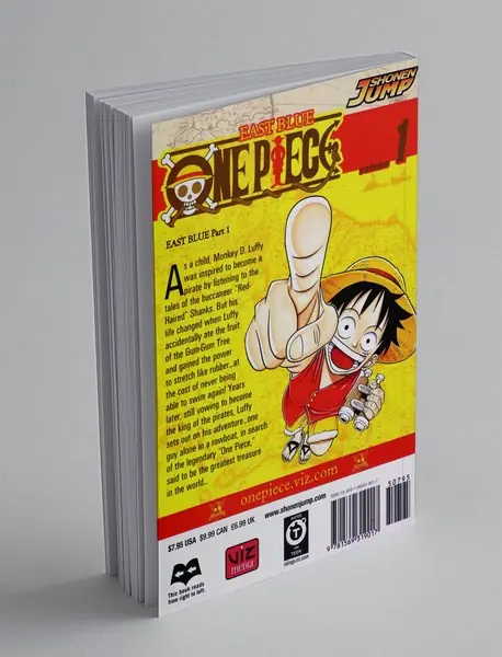 One Piece1