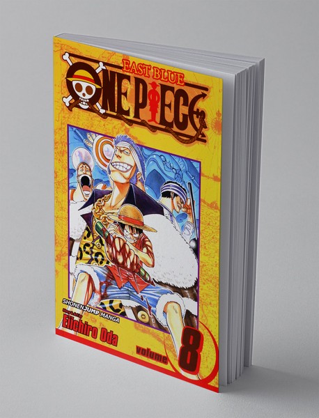 One Piece8