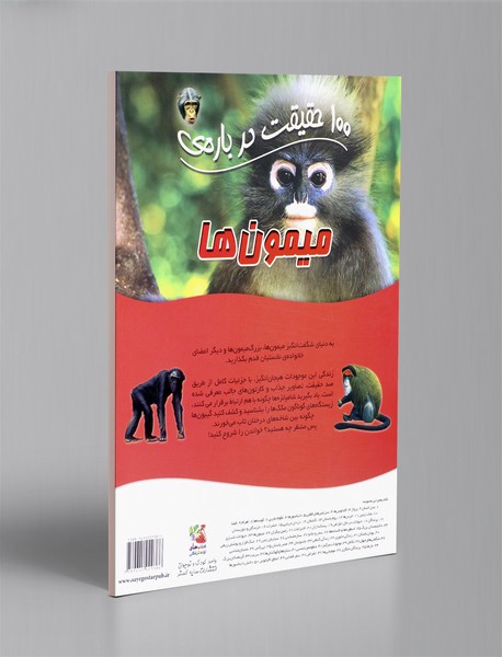 100 حقیقت درباره ی میمون ها