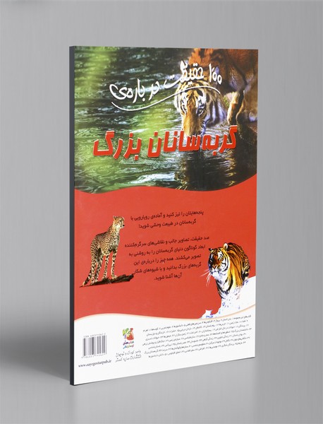 100 حقیقت درباره ی گربه سانان بزرگ