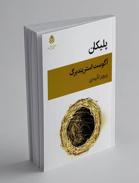 پلیکان