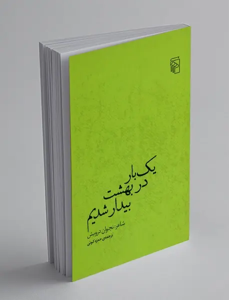 یک بار در بهشت بیدار شدیم