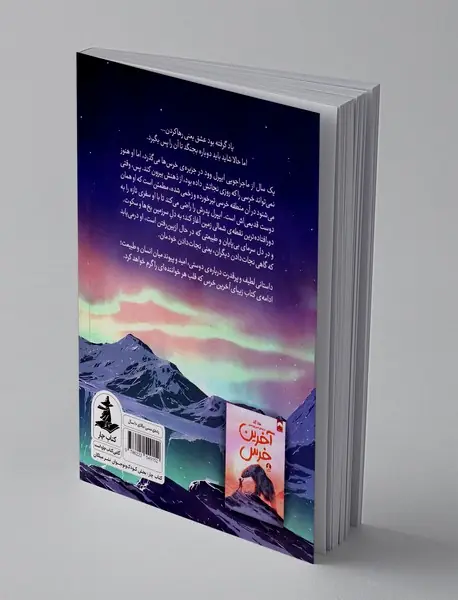 در جست و جوی خرس