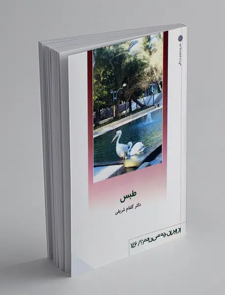 طبس