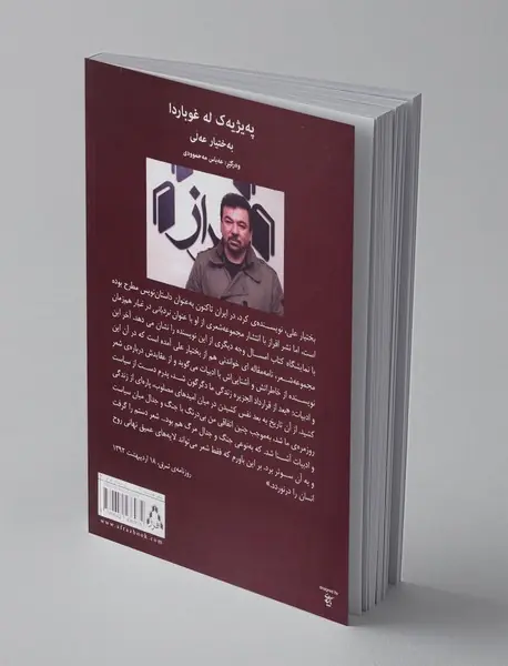 نردبانی در غبار