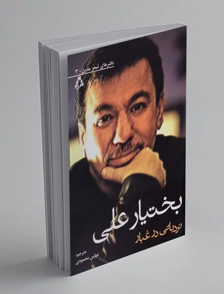 نردبانی در غبار