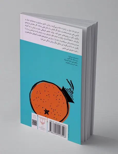 نامزد آقای مترجم