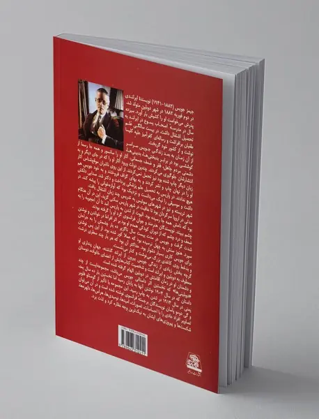 دوبلینی‌ ها