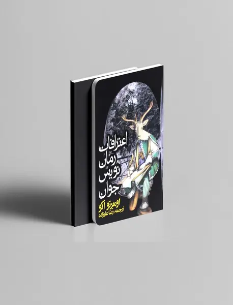 اعترافات یک رمان‌نویس جوان