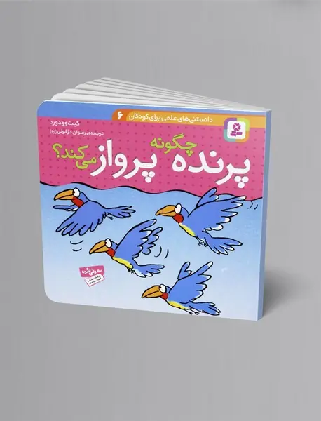 پرنده چگونه پرواز می کند؟