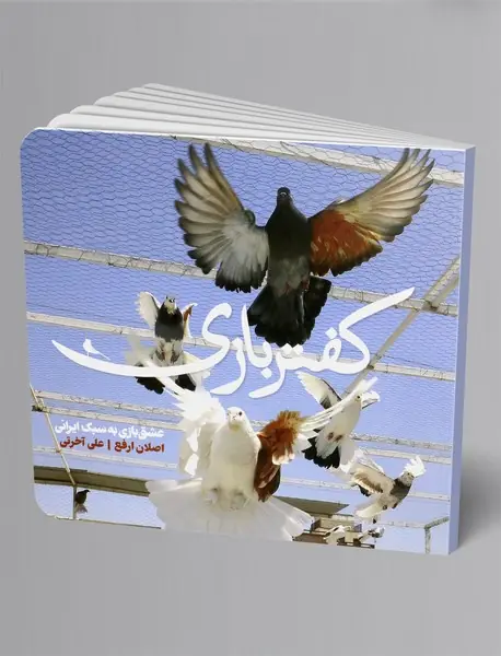 کفتر بازی