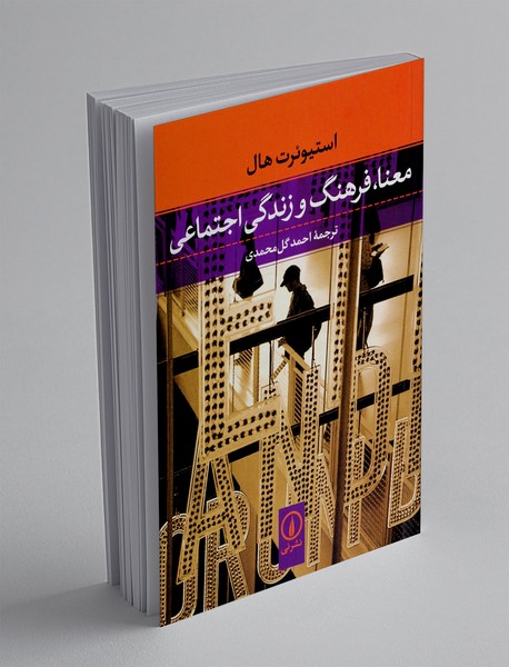 معنا، فرهنگ و زندگی اجتماعی